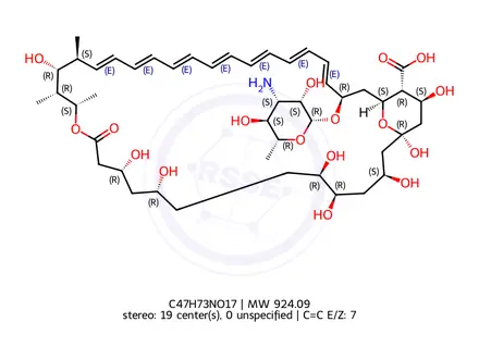 Chemical structure of Amphotericin B