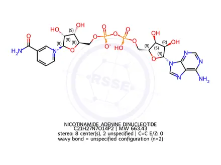 Chemical structure of Nicotinamide Adenine Dinucleotide