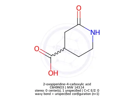 Chemical structure of 2-oxopiperidine-4-carboxylic acid