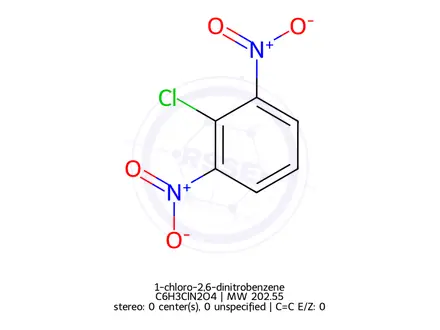 Chemical structure of 1-chloro-2,6-dinitrobenzene