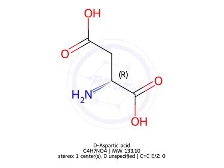 Chemical structure of D-Aspartic Acid