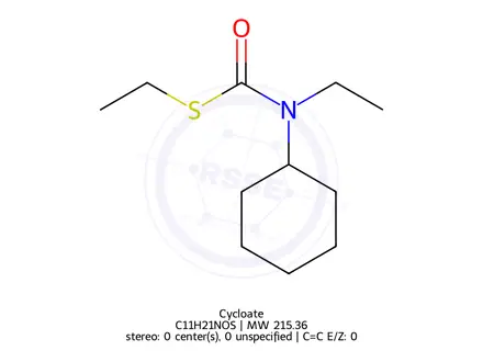 Chemical structure of Cycloate