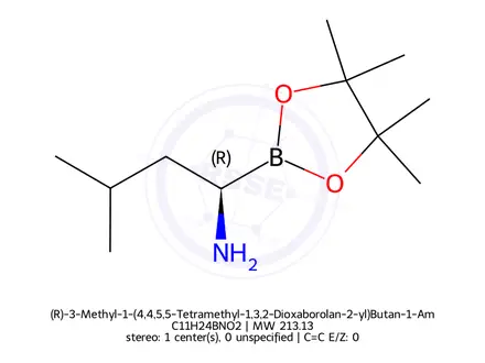 Chemical structure of (R)-3-Methyl-1-(4,4,5,5-Tetramethyl-1,3,2-Dioxaborolan-2-yl)Butan-1-Amine Hydrochloride