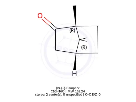 Chemical structure of D-Camphor