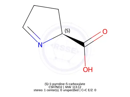Chemical structure of (S)-1-pyrroline-5-carboxylate