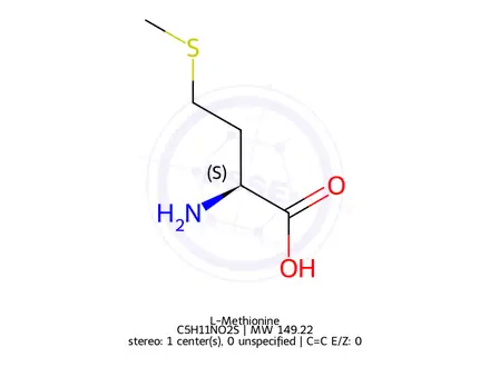 Chemical structure of L-Methionine