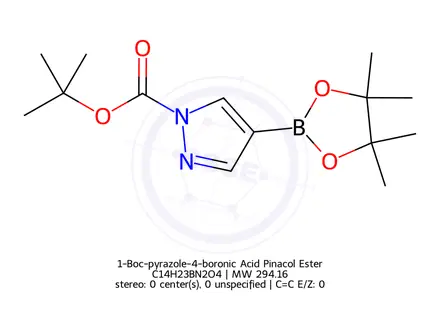 Chemical structure of 1-Boc-pyrazole-4-boronic Acid Pinacol Ester
