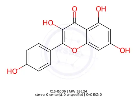 Chemical structure of Kaempferol