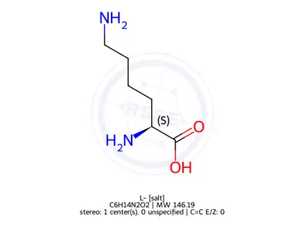 Chemical structure of L-Lysine