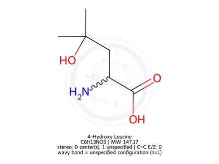 Chemical structure of 4-Hydroxy Leucine
