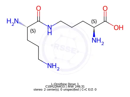 Chemical structure of L-Ornithine Dimer 1