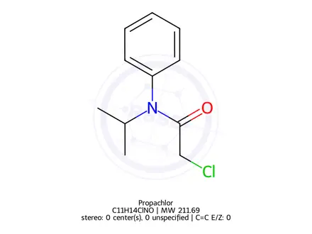 Chemical structure of Propachlor