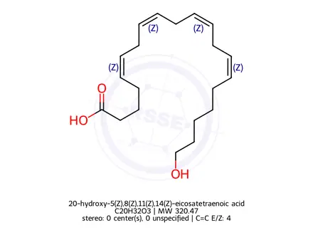 Chemical structure of 20-hydroxy-5(Z),8(Z),11(Z),14(Z)-eicosatetraenoic acid