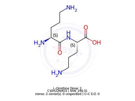 Chemical structure of L-Ornithine Dimer 2