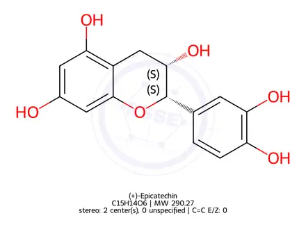 Chemical structure of ((+)-Epicatechin)