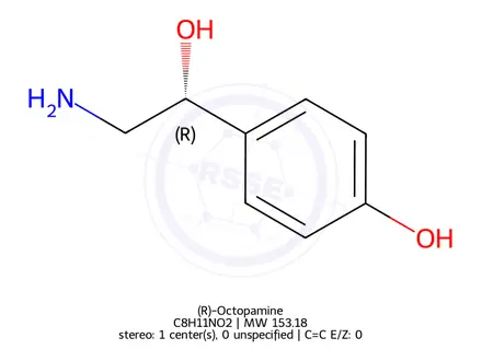 Chemical structure of (R)-Octopamine
