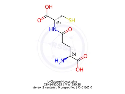 Chemical structure of γ-L-Glutamyl-L-cysteine