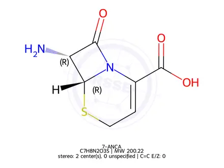 Chemical structure of 7-ANCA
