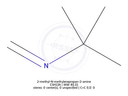 Chemical structure of 2-methyl-N-methylenepropan-2-amine