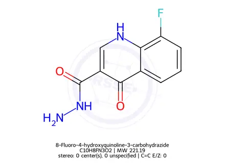 Chemical structure of 8-Fluoro-4-hydroxyquinoline-3-carbohydrazide