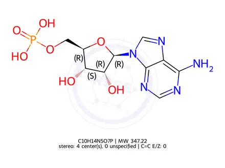 Chemical structure of 5'-Adenylic Acid