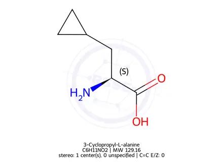 Chemical structure of 3-Cyclopropyl-L-alanine (BSC)