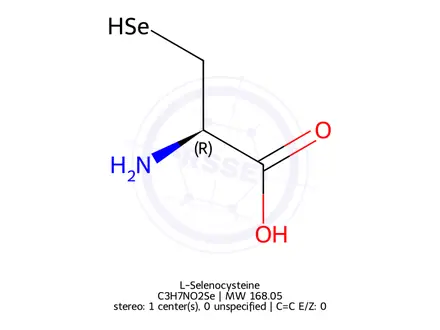 Chemical structure of L-Selenocysteine