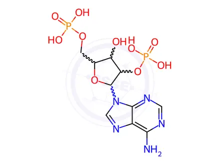 Chemical structure of ADENOSINE 2',5'-DIPHOSPHATE SODIUM SALT