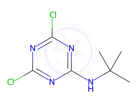 Chemical structure of 2-(tert-Butylamino)-4,6-dichloro-1,3,5-triazine