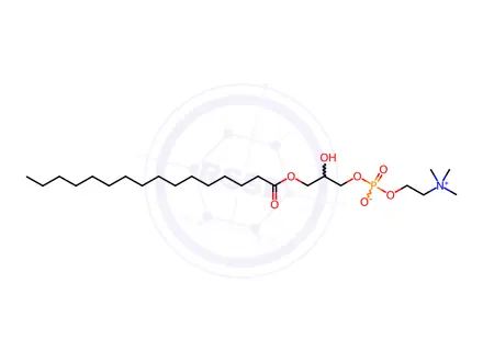 Chemical structure of 1-Palmitoyl-rac-glycero-3-phosphocholine