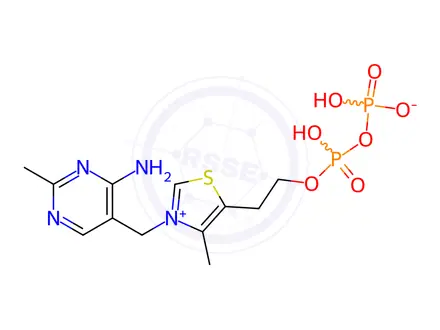 Chemical structure of 2-[3-[(4-amino-2-methylpyrimidin-5-yl)methyl]-4-methyl-1,3-thiazoniol-5-yl]ethyl dihydrogen diphosphate