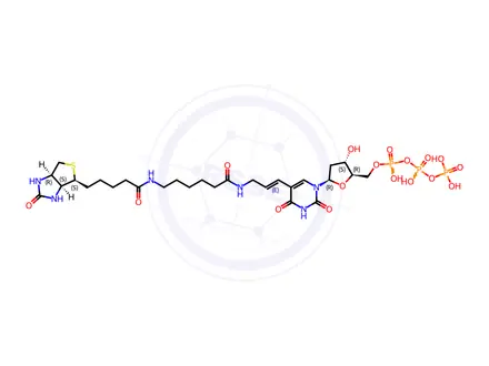 Chemical structure of Biotin-11-deoxyuridine-5'-triphosphate, triethylammonium salt-