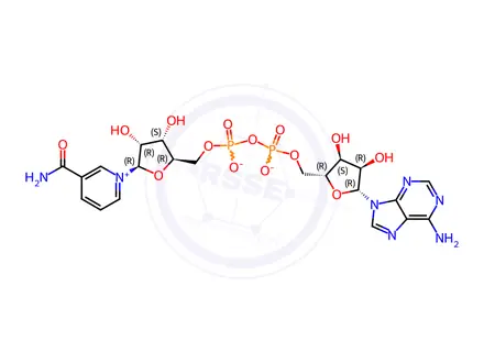 Chemical structure of β-Nicotinamide Adenine Dinucleotide Lithium Salt
