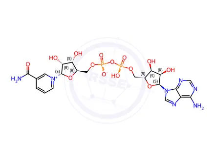 Chemical structure of α-Nicotinamide-adenine dinucleotide