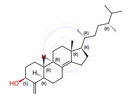 Chemical structure of Conicasterol