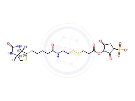 Chemical structure of Sulfosuccinimidyl 3-[[2-(Biotinamido)ethyl] dithio]propionate Sodium Salt