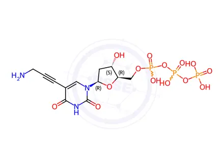 Chemical structure of 5-(3-Amino-1-propyn-1-yl)-2’-deoxyuridine 5’-(Tetrahydrogen Triphosphate)