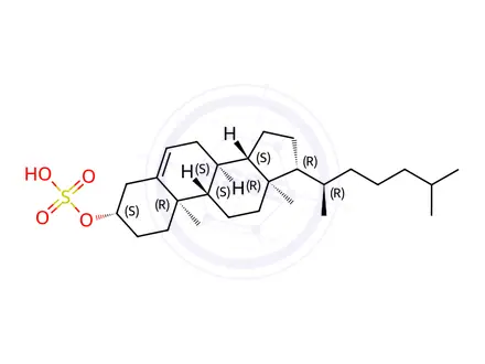 Chemical structure of Cholesterol sulfate