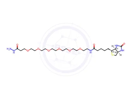 Chemical structure of (+)-Biotin-PEG6-hydrazide