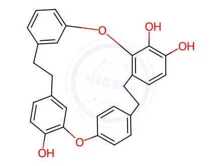 Chemical structure of 2,7-Dioxa-1(1,2),3,6(1,3),8(1,4)-tetrabenzenacyclodecaphane-15,16,64-triol