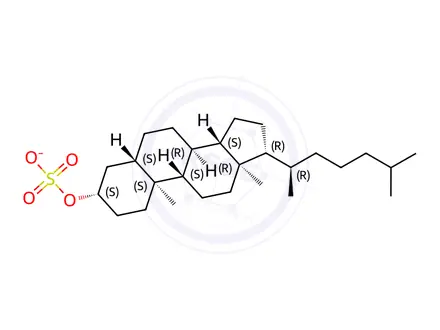 Chemical structure of Cholesterol Impurity 18 Sulfate Sodium Salt