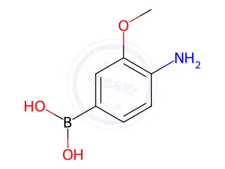 Chemical structure of (4-Amino-3-methoxyphenyl)boronic acid
