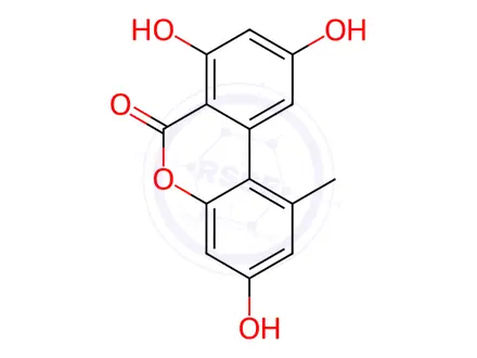 Chemical structure of Alternariol