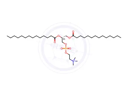 Chemical structure of 1,2-Dimyristoyl-sn-glycero-3-phosphocholine