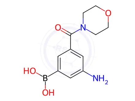Chemical structure of 3-Amino-5-(morpholinocarbonyl)phenylboronic acid