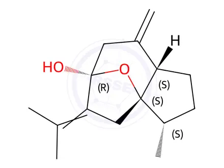 Chemical structure of Isocurcumenol