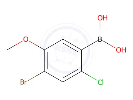 Chemical structure of (4-Bromo-2-chloro-5-methoxyphenyl)boronic acid
