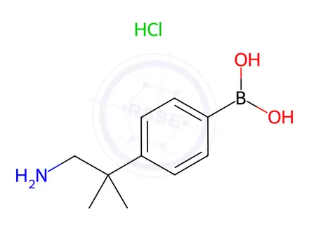 Chemical structure of (4-(1-Amino-2-methylpropan-2-yl)phenyl)boronic Acid Hydrochloride
