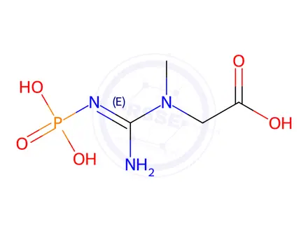 Chemical structure of Creatine Phosphate