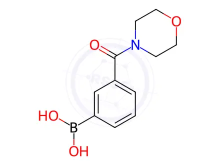 Chemical structure of 3-(Morpholine-4-carbonyl)phenylboronic acid